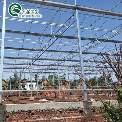 Serra de tubos de aço galvanizado de Venlo com jardim de torre e sistema de sombreamento ideal