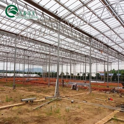 Serra de tubos de aço galvanizado de Venlo com jardim de torre e sistema de sombreamento ideal