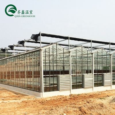 Serra de tubos de aço galvanizado de Venlo com jardim de torre e sistema de sombreamento ideal