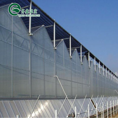 Folha de policarbonato que cobre painéis solares transparentes para estufas em grande demanda