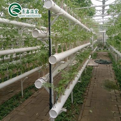 Container hidropónico de camada dupla de filme PO para resultados superiores de crescimento de plantas
