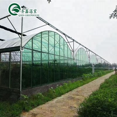 Modernização de sistemas hidropónicos verticais de camada dupla para estufas agrícolas