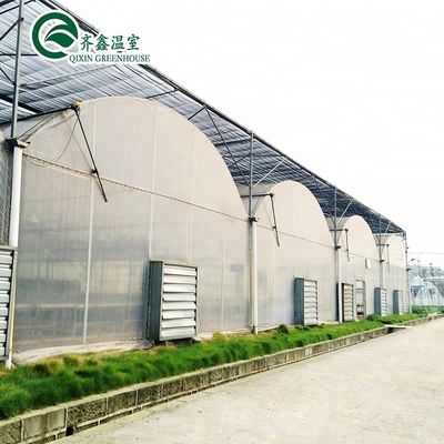 Modernização de sistemas hidropónicos verticais de camada dupla para estufas agrícolas