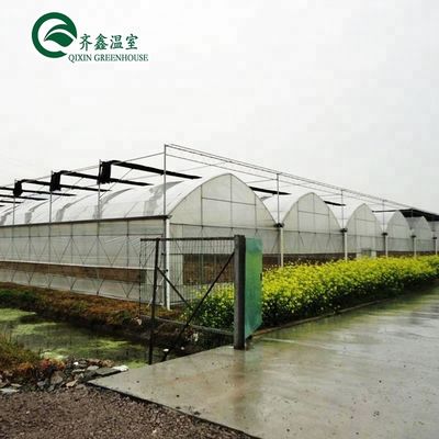 Grande bomba hidropônica para o máximo crescimento de vegetais frutas e flores