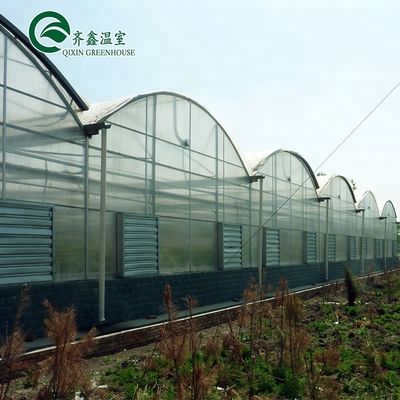 Estufas agrícolas de várias faixas com filme de PO que redefinem sistemas hidropónicos internos