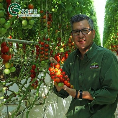 Grande bomba hidropônica para o máximo crescimento de vegetais frutas e flores