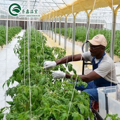 Grande bomba hidropônica para o máximo crescimento de vegetais frutas e flores