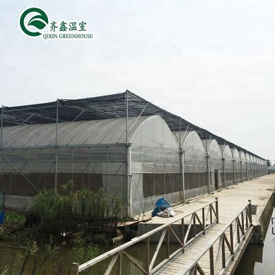 Grande bomba hidropônica para o máximo crescimento de vegetais frutas e flores