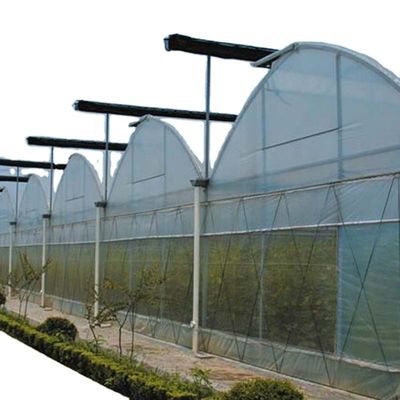 Sistema de sombreamento interior Fungos Equipamento de estufa para frutas e flores vegetais