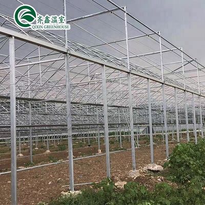 Container agrícola de grande escala com estufas agrícolas multifase