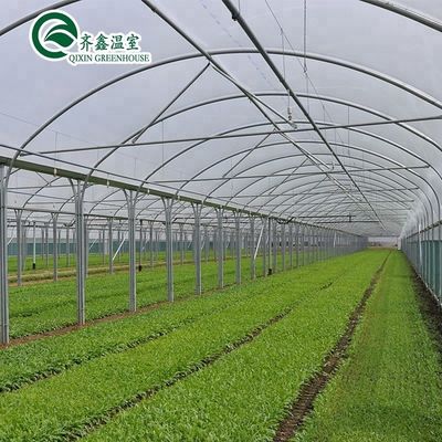 Container agrícola de grande escala com estufas agrícolas multifase
