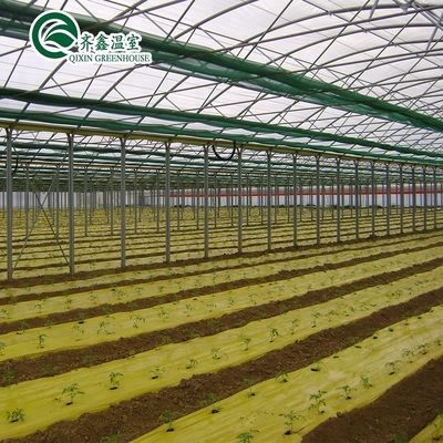 Container agrícola de grande escala com estufas agrícolas multifase