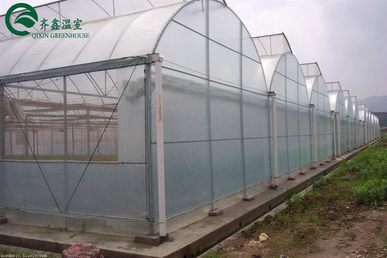 Casa verde de duas camadas para o cultivo de frutas, vegetais e flores
