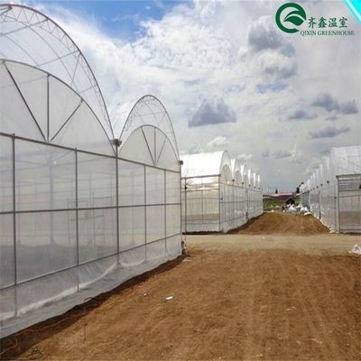Casa verde de duas camadas para o cultivo de frutas, vegetais e flores