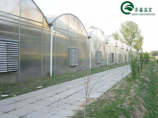Casa verde de duas camadas para o cultivo de frutas, vegetais e flores