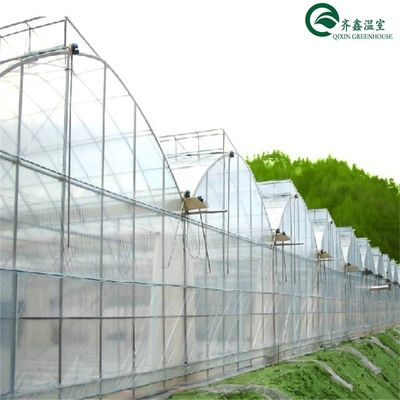 Casa verde de duas camadas para o cultivo de frutas, vegetais e flores