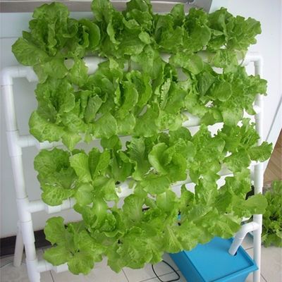 Container hidropónico de camada dupla de filme PO para resultados superiores de crescimento de plantas