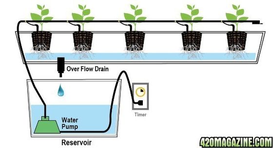 PO A solução definitiva para a agricultura vertical em estufas agrícolas multi-span