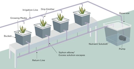 PO A solução definitiva para a agricultura vertical em estufas agrícolas multi-span