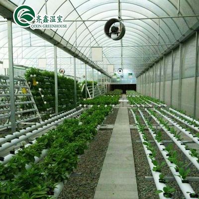 PO Estufas de camada única para a agricultura