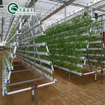Sistemas de cultivo hidropónico para estufas protegidos por filme PO