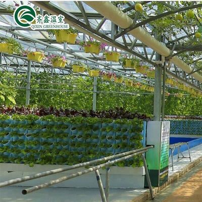Sistemas de cultivo hidropónico para estufas protegidos por filme PO