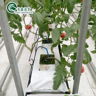 Sistemas de cultivo hidropónico para estufas protegidos por filme PO