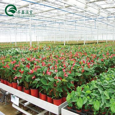 Sistemas de cultivo hidropónico para estufas protegidos por filme PO