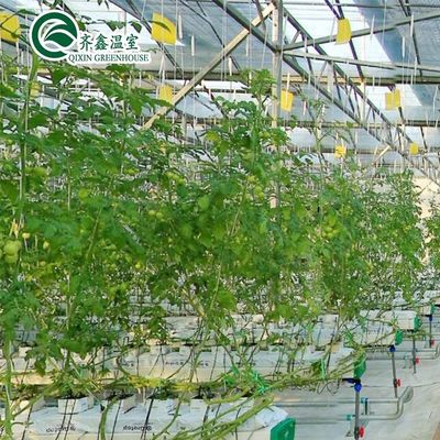 Sistemas de cultivo hidropónico para estufas protegidos por filme PO