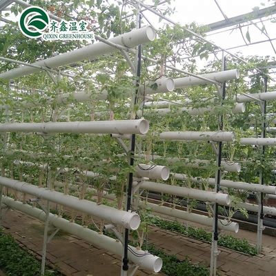 Capa de filme Sistema de Kit de cultivo hidropônico de camada dupla para estufa
