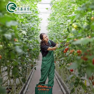 Capa de filme Sistema de Kit de cultivo hidropônico de camada dupla para estufa