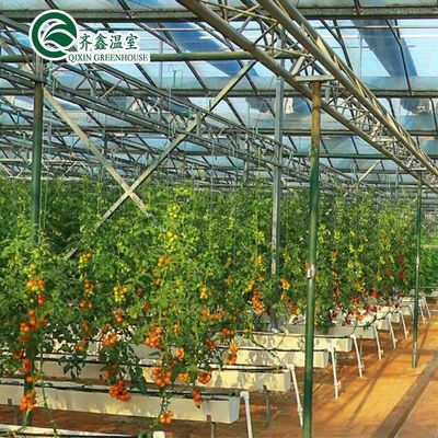 Capa de filme Sistema de Kit de cultivo hidropônico de camada dupla para estufa