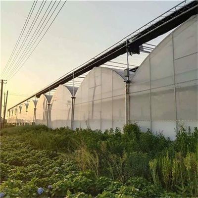 PO Estufas de camada única para a agricultura