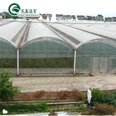 PO Estufas de camada única para a agricultura