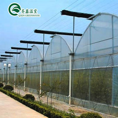 Estufas de cultivo de vegetais de túnel de crescimento de vegetais personalizados para cultivo de vegetais
