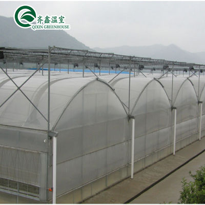 Estufas de cultivo de vegetais de túnel de crescimento de vegetais personalizados para cultivo de vegetais