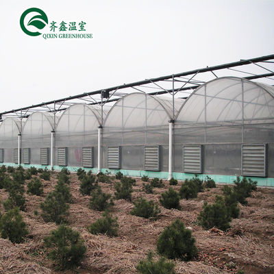 Estufas de cultivo de vegetais de túnel de crescimento de vegetais personalizados para cultivo de vegetais