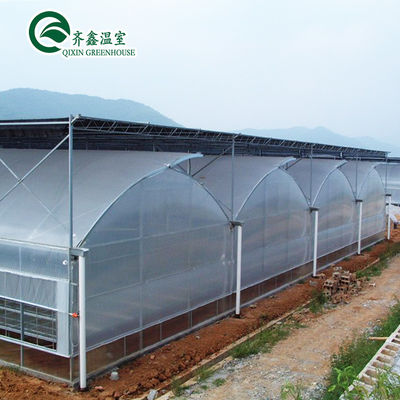 Estufas de cultivo de vegetais de túnel de crescimento de vegetais personalizados para cultivo de vegetais