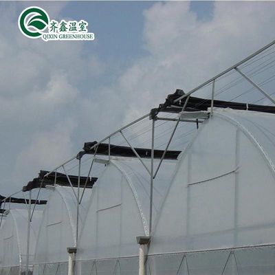 Película de estufa multi-span personalizada para proteção UV e condições de crescimento ideais