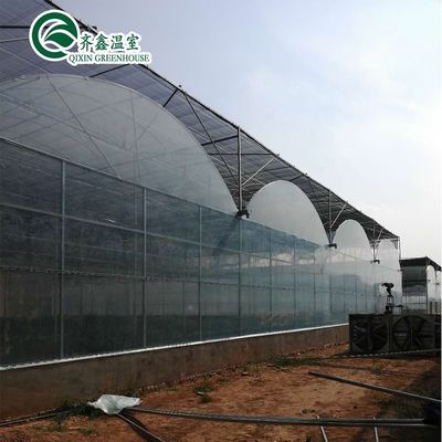 Revolucionar a agricultura dentro e fora Sistema de sombreamento para estufas hidropônicas