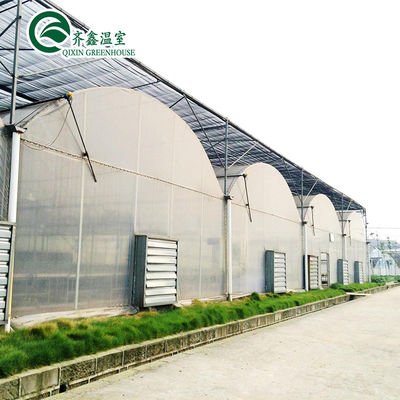 Estufas hidropónicas de duas camadas para o cultivo de tomates em ambiente controlado